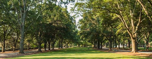 Carnegie Foundation and ACE Launch Pilot Program for Sustainability Elective Classification